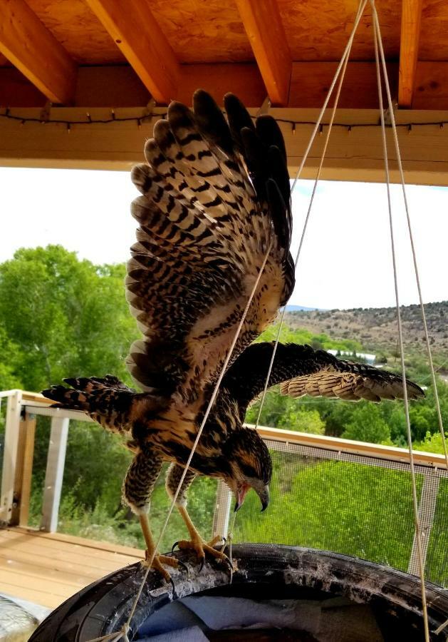 Cave, Yurt, Bubble And Other Glamping Adventures Hotel Sedona Exterior foto